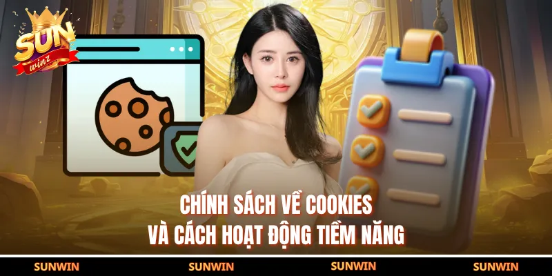 Chính sách về cookies và cách hoạt động tiềm năng